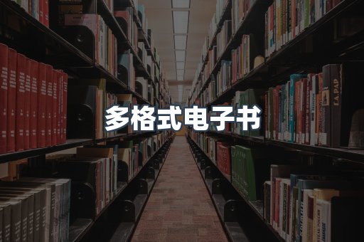 多格式电子书